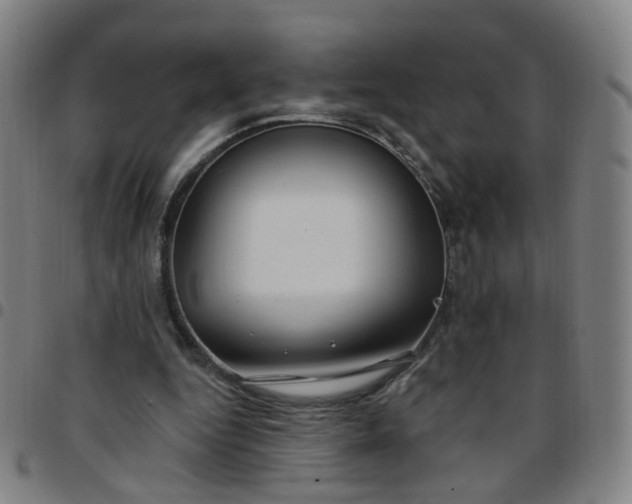 X0000097470344200803071658