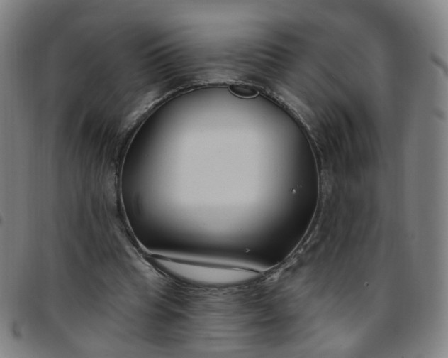 X0000097470345200803071658