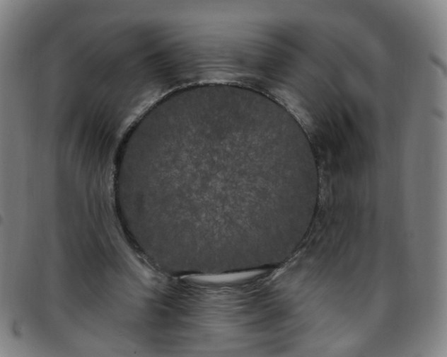 X0000097470346200803071658