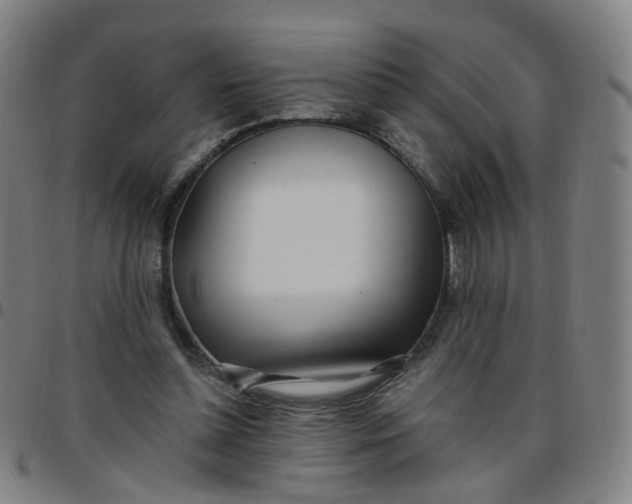 X0000097470348200803071658
