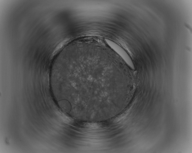 X0000097470349200803071659