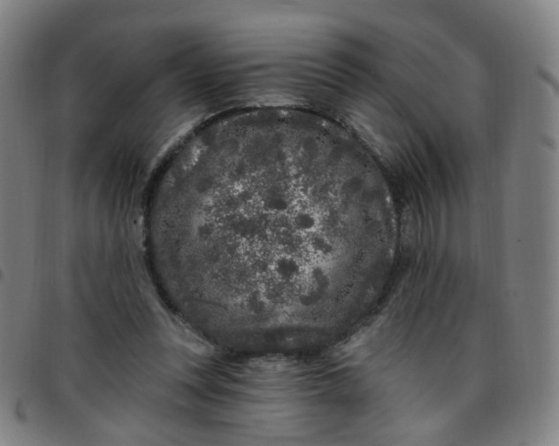 X0000097470351200803071659