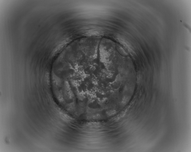 X0000097470353200803071659