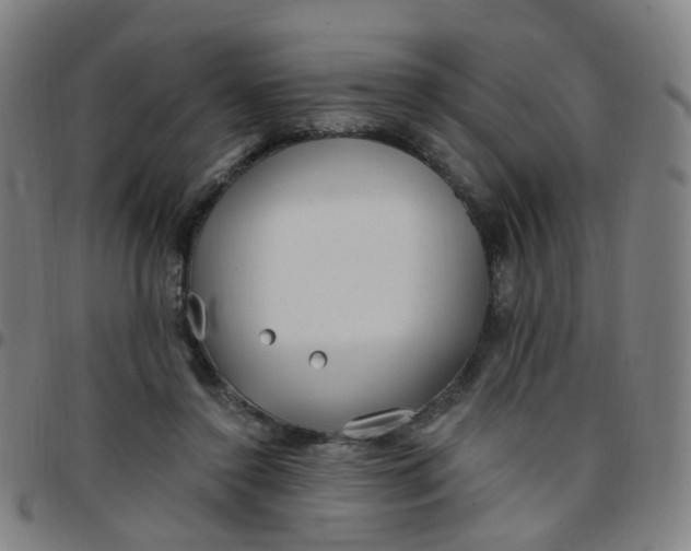 X0000097470356200803071659