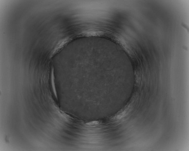 X0000097470357200803071659