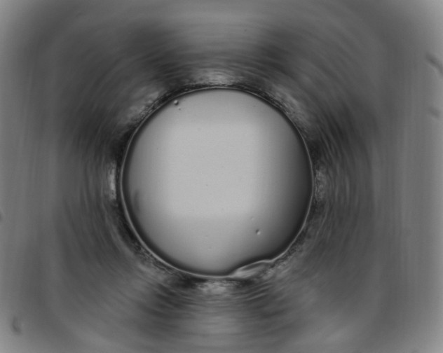 X0000097470358200803071659