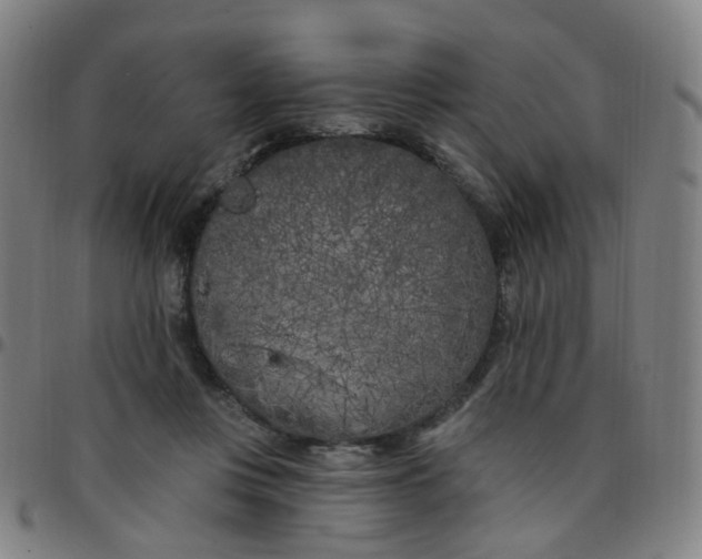 X0000097470359200803071659