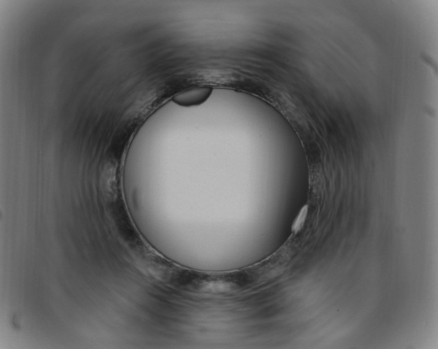 X0000097470360200803071659
