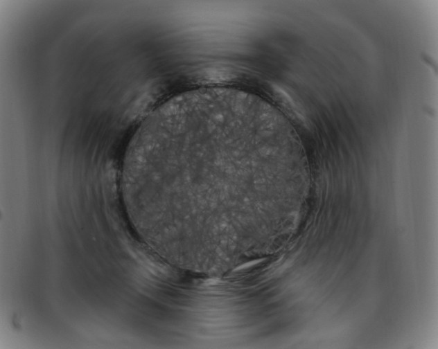 X0000097470366200803071659