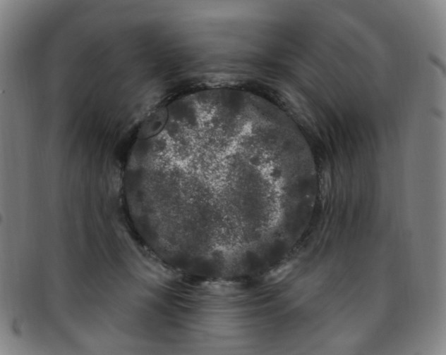 X0000097470367200803071659