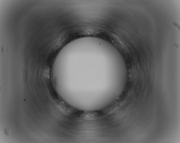 X0000097470368200803071659