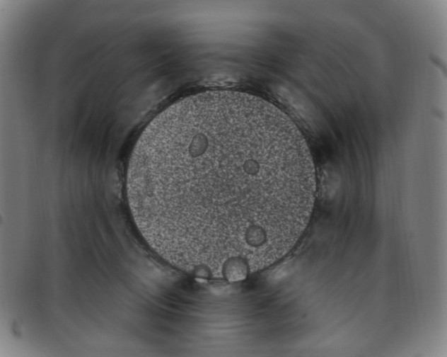 X0000097470370200803071659