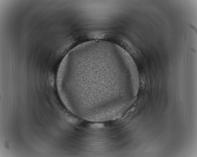 X0000097470374200803071659