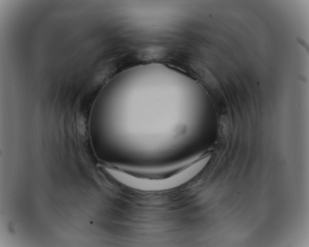 X0000097470380200803071659