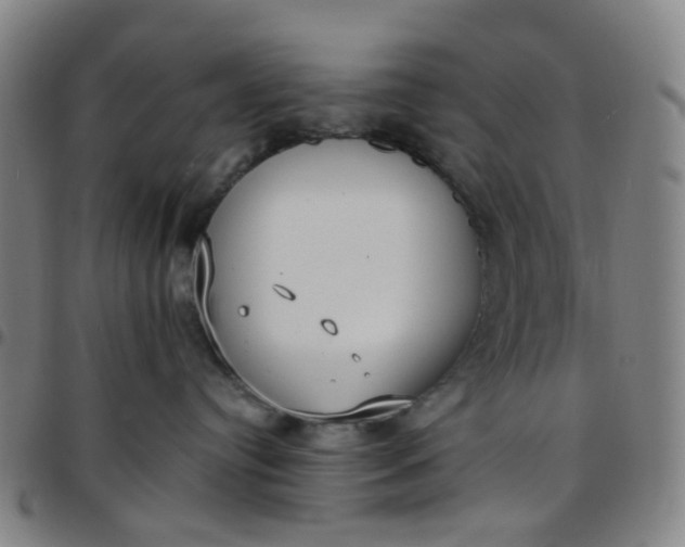 X0000097470384200803071659