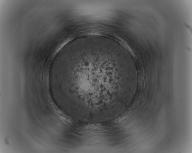 X0000097470386200803071658