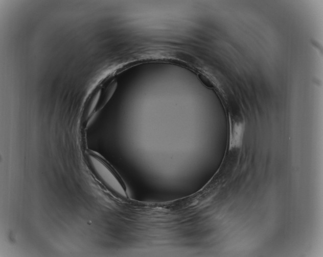 X0000097470387200803071658