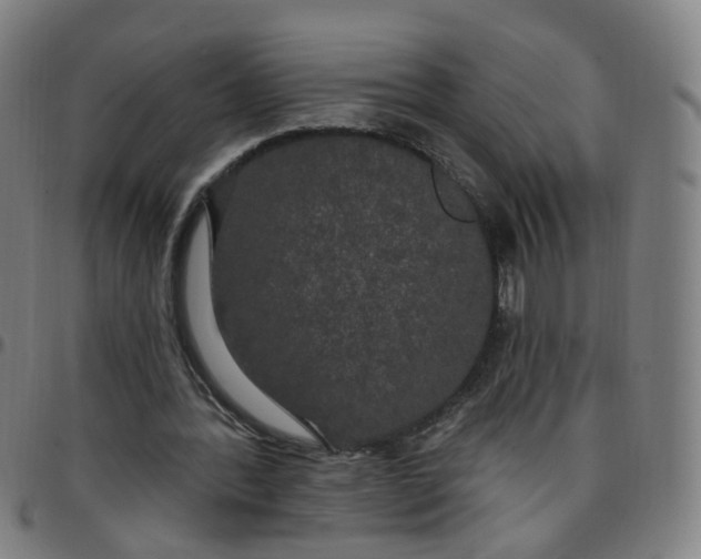 X0000097470388200803071658