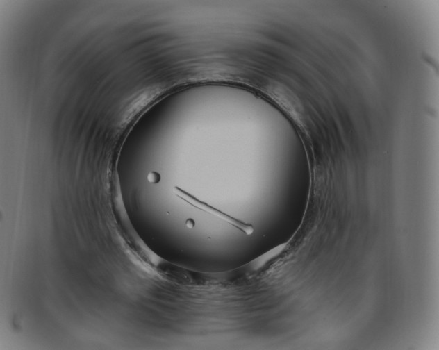 X0000097470389200803071658