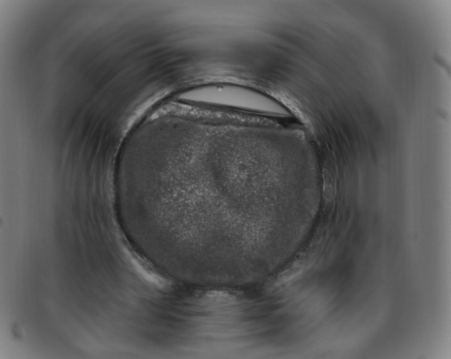 X0000097470390200803071658
