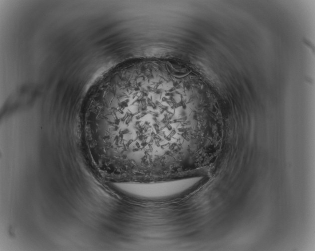 X0000097470392200803071658