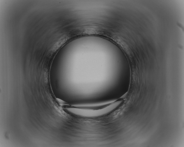 X0000097470393200803071658