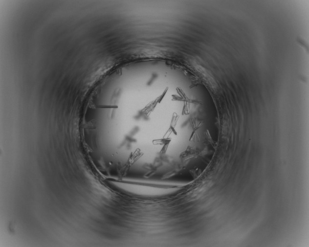 X0000097470394200803071658