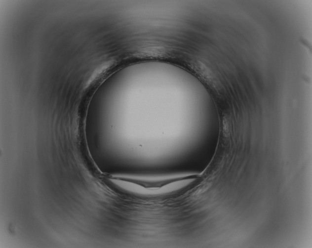 X0000097470396200803071658