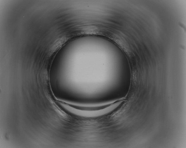 X0000097470397200803071658