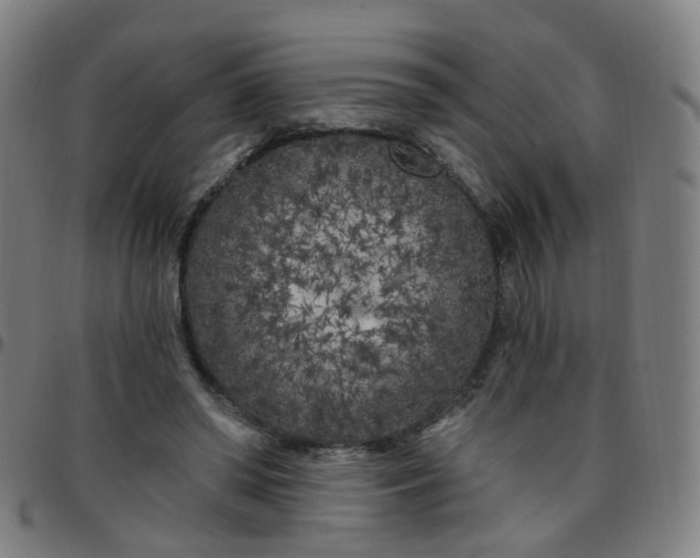 X0000097470398200803071658