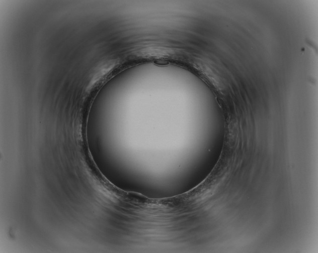 X0000097470399200803071658