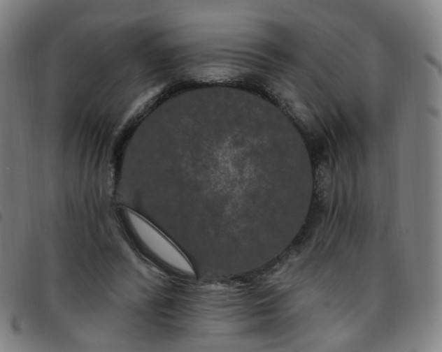 X0000097470400200803071658
