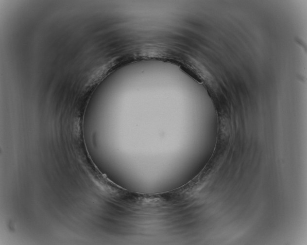 X0000097470401200803071658