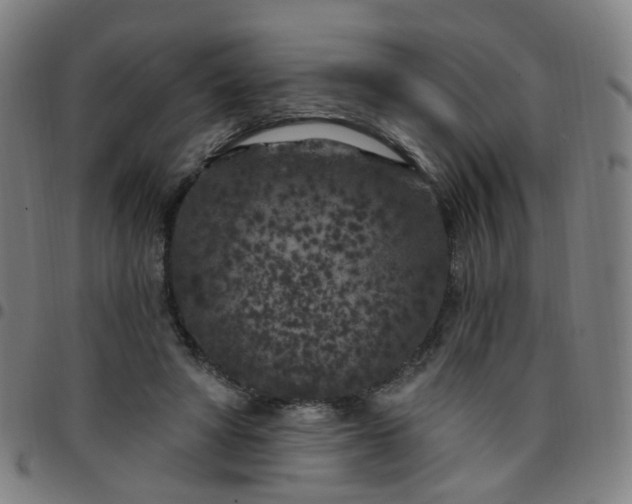 X0000097470402200803071658