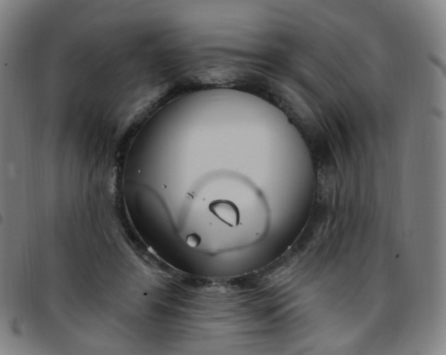 X0000097470404200803071658