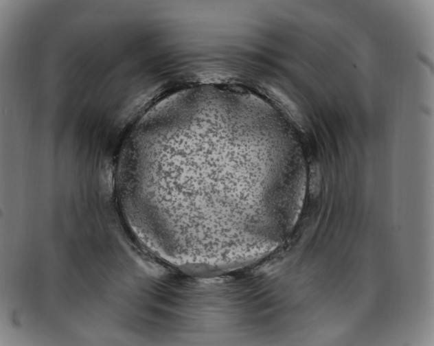 X0000097470405200803071658