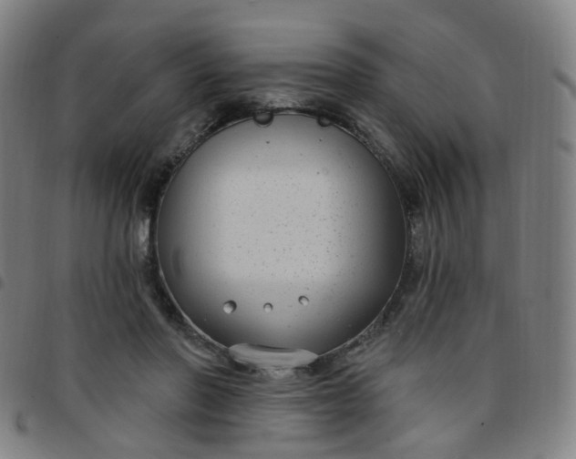 X0000097470406200803071658