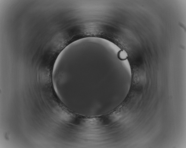 X0000097470411200803071658