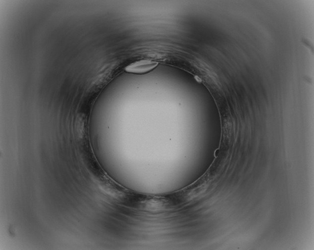 X0000097470412200803071658