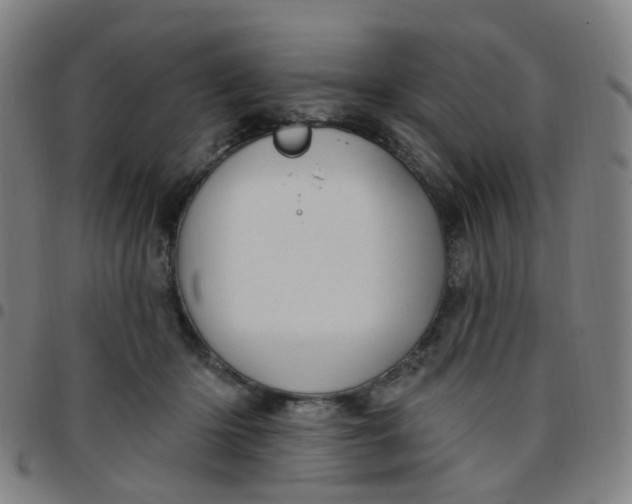 X0000097470414200803071658