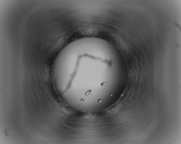 X0000097470416200803071658
