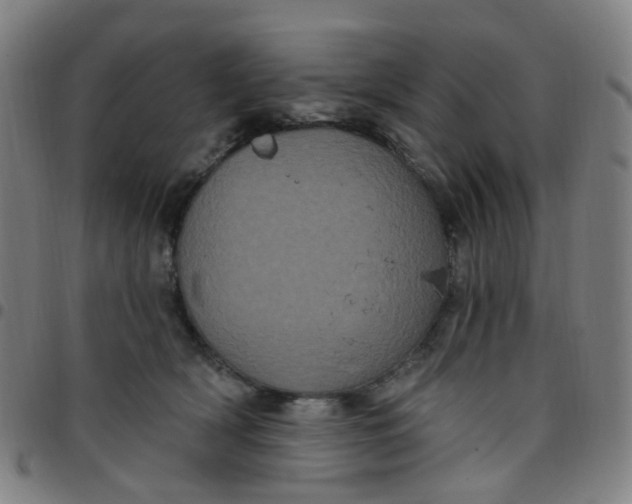 X0000097470418200803071658