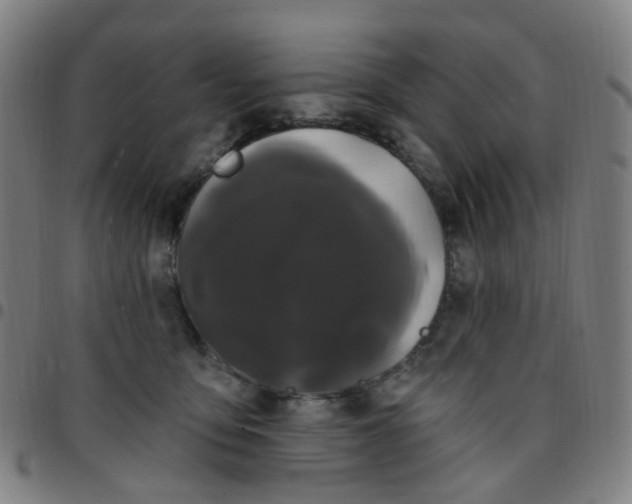 X0000097470419200803071658