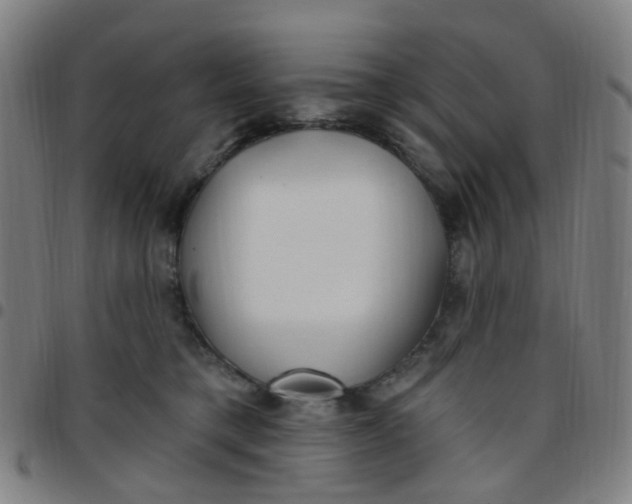 X0000097470421200803071658