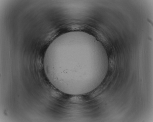 X0000097470422200803071658