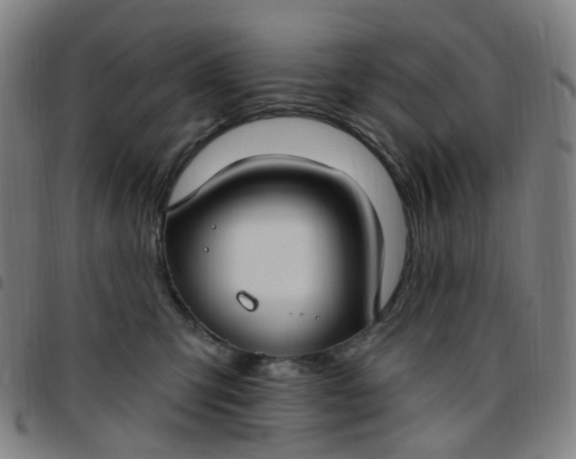 X0000097470423200803071658