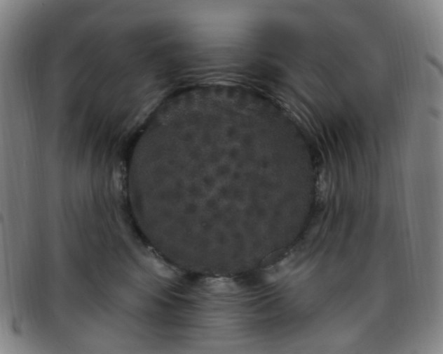 X0000097470424200803071658