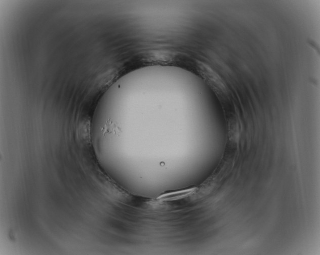 X0000097470425200803071658