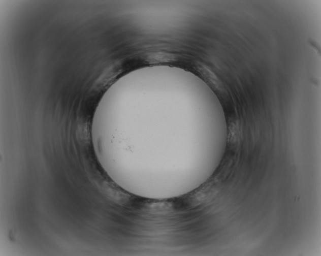 X0000097470426200803071658