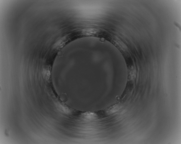 X0000097470427200803071658
